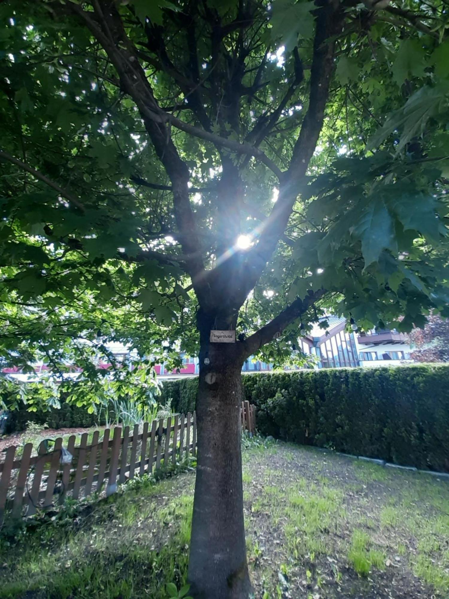 Gasthof Hotel Schermer Bad Haering Bagian luar foto